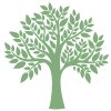 Tree 1 100